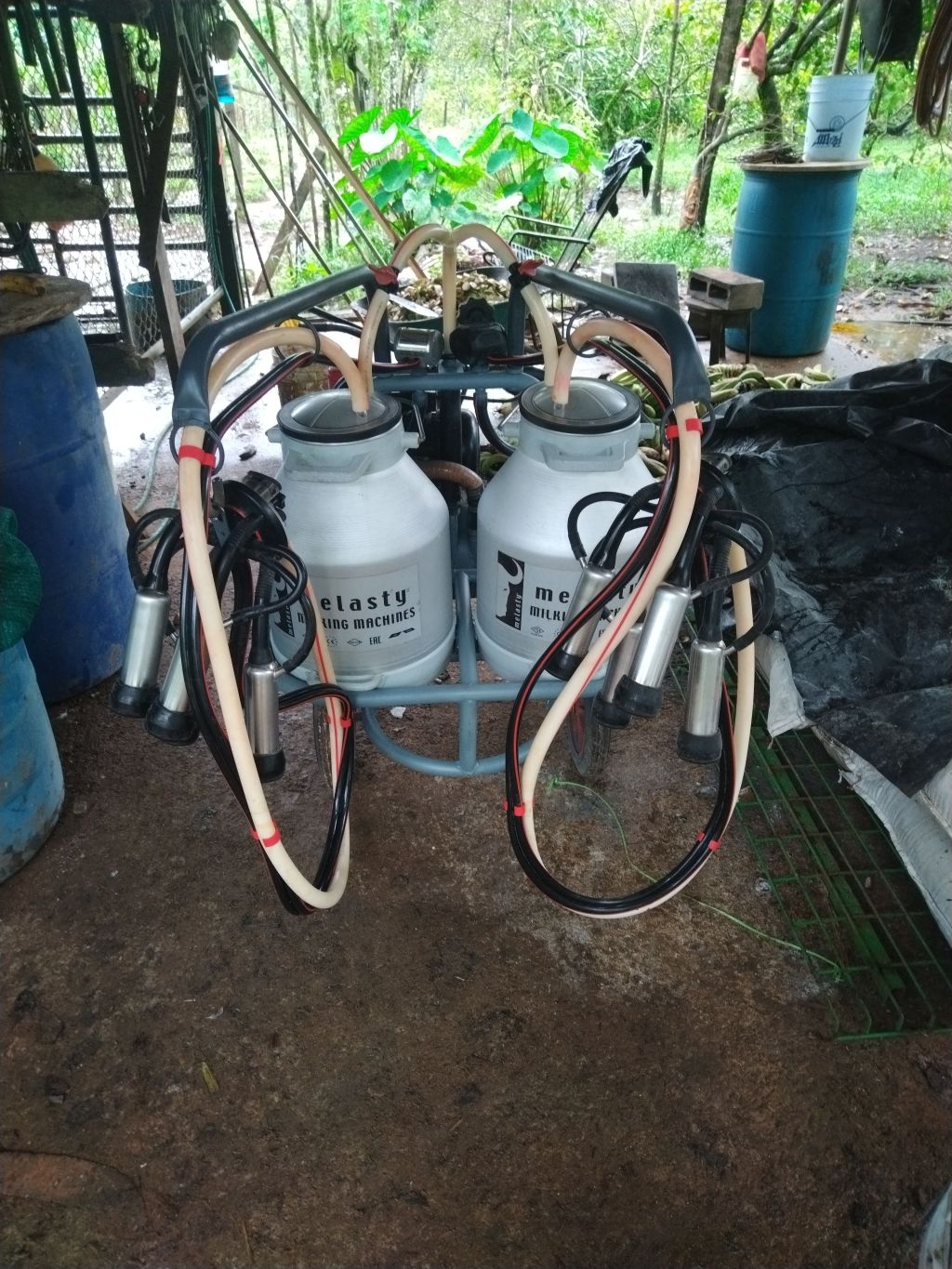 🚜 Marca melasty · Sarapiqui puerto viejo ·&nbsp;Negociable